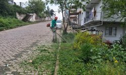 Başkan Yetişkin’le Efeler’de bahar temizliği seferberliğe dönüştü