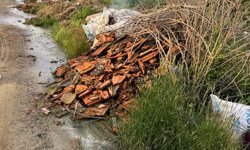 Koçarlı'nın çöplüğe dönen mahallesi: Muhtar isyan etti