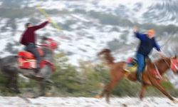 Turnuvada feci kaza:  Sporcu ağır yaralandı, at öldü