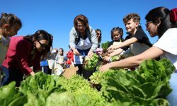 Didim Belediyesi'nden üretken belediyecilik örneği