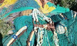 Didim’de kaçak avcılığa darbe: Milli Park Sınırında nokta operasyon