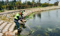 Didim’de temizlik ve düzenleme çalışmaları sürüyor
