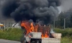 Karacasu'da sandalye yüklü kamyonet alevler teslim oldu
