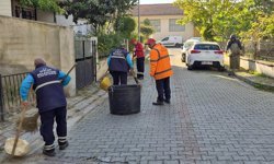 Efeler Belediyesi ekipleri kent genelinde çalışmalarını sürdürüyor