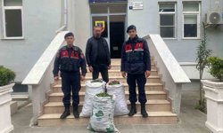 Aydın'da incir hırsızlarına suçüstü