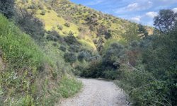 Hafta sonu planınız hazır: İmamköy Doğa Parkuru