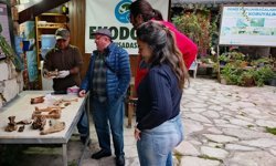 Kuşadası'nda şiddetli yağış sonrası ortaya çıktı: Sahilde gizemli kemikler