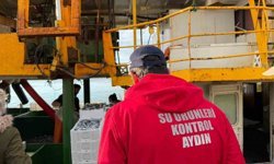 Hamsi kotası için Didim’de denetim yapıldı