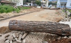 Karacasu'da ilginç olay: Marangoz "Yol Benim" diyerek sokağı tomruklarla kapattı