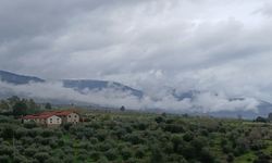 Karacasu’da Nisan ayı bereketle geldi: Yağışlı hava etkisini sürdürüyor