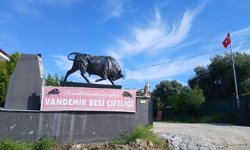 Vandemir Besicilik ve Mezbahası kurbana hazır: Raylı sistem devrede