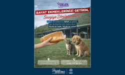 Germencik’te bayat ekmekler can dostlara mama oluyor