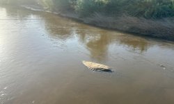 Menderes’te kara göründü