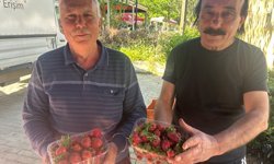 25 yıllık çiftçiden örnek davranış: “Vatandaş yesin”