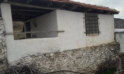 Milletvekili Savaş, Karagözler yaylasının ışıklarını yakacak