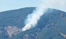 Nazilli’de orman yangını