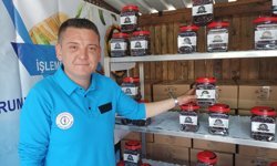 Nazilli zeytinine ‘mahkum’ dokunuşu