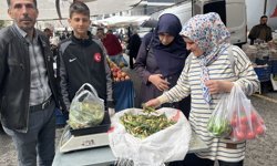 Nazilli’de Doğu’nun şifa deposu ‘Çiriş Otu’ tezgâhlarda yerini aldı