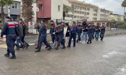 Nazilli'de karar verildi: 20 milyonluk hayvan dolandırıcılığına hapis!