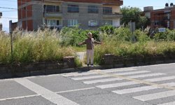 Nazilli’de ot tartışması büyüyor: 'Önce işinizi yapın, sonra konuşun'