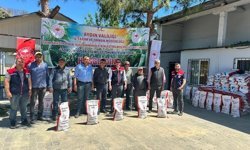 İlk hasadında 7,5 ton verim alındı: Aydın'da dağıtıldı