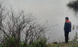 Söke’de sel sonrası tarım arazilerinde hasar tespiti sürüyor