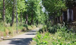 Başkan Tetik'ten tepki:  “Sorumlular görevini yapsın”