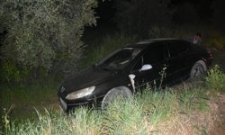 Karacasu'da otomobil zeytin tarlasına düştü: 1 yaralı