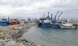 Yasak öncesi hamsi tezgahta rekora koşuyor