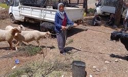 Karacasulu üretici: "100 kilo hayvan 32 bin lira, bir çuval yem 1000 lira"