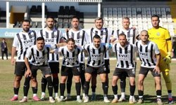 90 yıllık çınar Edremit'te devrildi