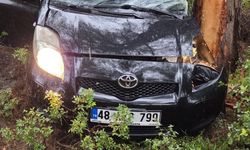 Kontrolden çıkan otomobil ormanlığa uçtu