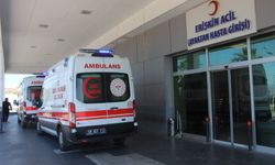 Aydın'da acemi kasaplar iş başında