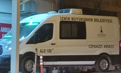 Boya yaparken hayatını kaybetti