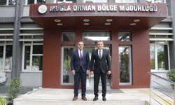 Kestane üretimi alarmda: Aydın’da doğal mücadele başladı