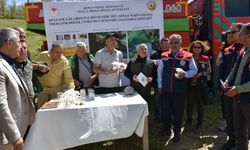Aydın'da gal arısına karşı biyolojik savaş