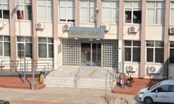Aydın’da mide bulandıran olay: Sokak köpeğine taciz iddiası