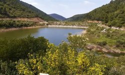Aydın'ın doğal hazinesi: Tehlike çanları çalıyor