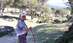 Aydın'ın en genç çobanı: Ne olursa olsun terk etmedi
