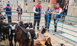 Bozdoğan’da kurban satış yerleri denetlendi