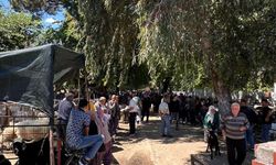 Bozdoğan’da kurban pazarı hareketlendi: Vatandaş son gün pazarlığında