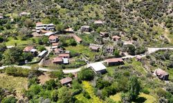 Bir zamanlar yüzlerce kişi yaşıyordu: Aydın’daki köy hayalet köye döndü
