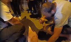Çıkan kavgada başından yaralandı, kanlar içinde yerde kaldı