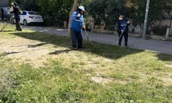 Didim Belediyesi'nin ilçe genelinde çalışmaları devam ediyor