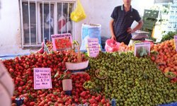 Didim pazarı’nda yaz şenliği: Tezgahlarda renkli görüntüler