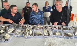 Didim’de balık mezatı yeniden başladı
