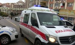 Didim'de komşu kavgası cinayetle bitti