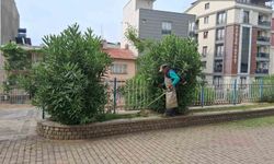 Efeler’de parklar yaza hazırlanıyor