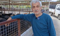 "Emekli maaşıyla geçinmek de kurbanlık almak da mümkün değil"