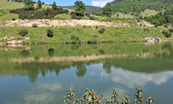Arkadaşlarıyla girdiği gölette can verdi